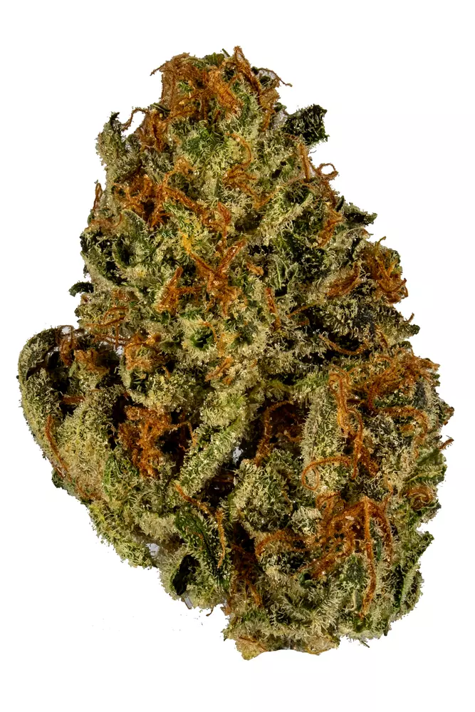 Rainmaker | Greenhouse Flower | 29% THC | 3.5 Grams | RIVERVIEW